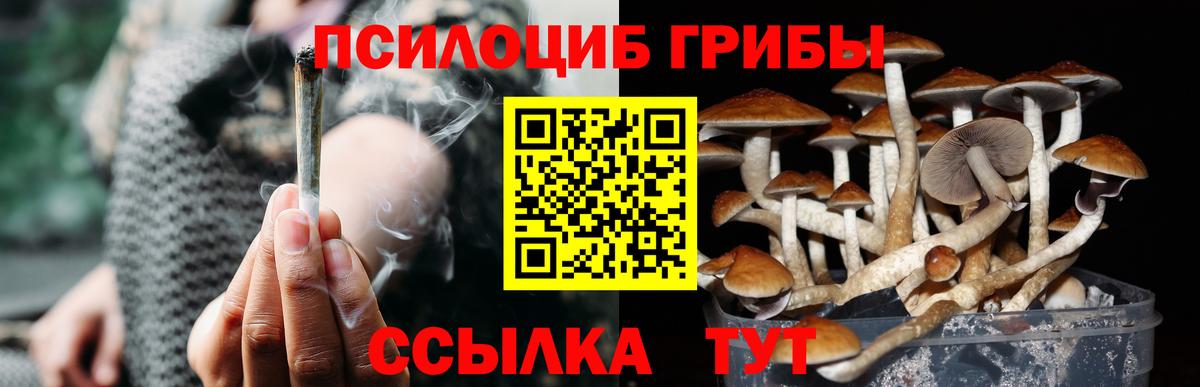 Майский  Псилоцибиновые грибы мухоморы  Вход с VPN 